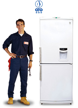 تعمیر یخچال پارس در محل