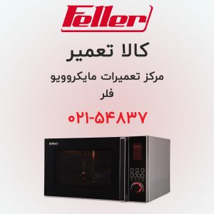 تعمیر مایکروویو فلر